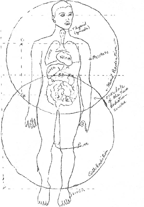 mfl_bulletin_24_body2 mfl_bulletin_24_body2